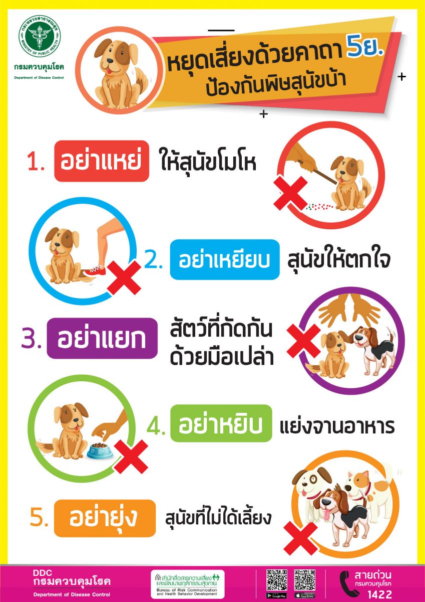 เตือนประชาชนระวังถูกสุนัข-แมว กัดหรือข่วน เสี่ยงโรคพิษสุนัขบ้า แม้มีแผลเพียงเล็กน้อย ก็อย่าชะล่าใจ