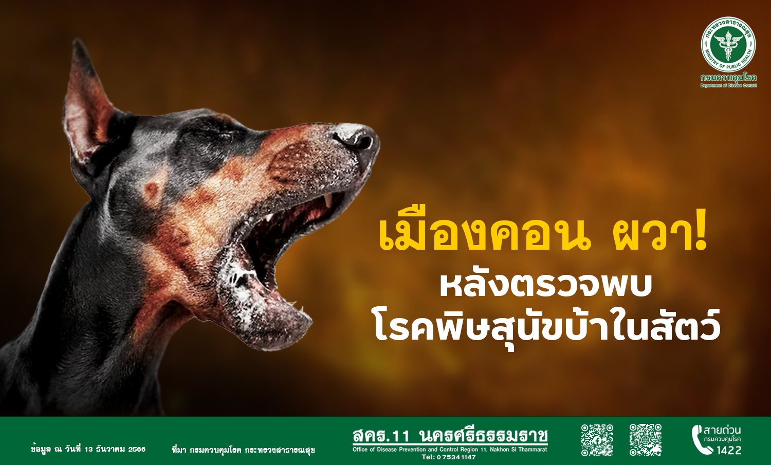 Rabies Warning in Mueang Khon: Urgent Health Alert for Nakhon Si Thammarat Province